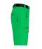 Men Men's Trekking Shorts Fern-green 8603