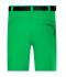 Uomo Men's Trekking Shorts Fern-green 8603