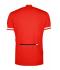 Homme Maillot cycliste homme 1/2 zip Rouge 7939