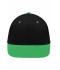 Unisex 6 Panel Pro Cap Black/fern-green 8131