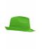 Unisex Promotion Hat Lime-green 8350