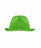 Unisex Promotion Hat Lime-green 8350
